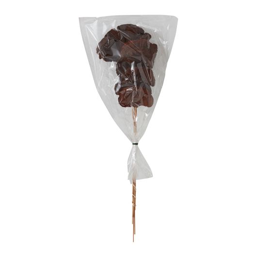 Tall Red Sponge Mushroom Stem