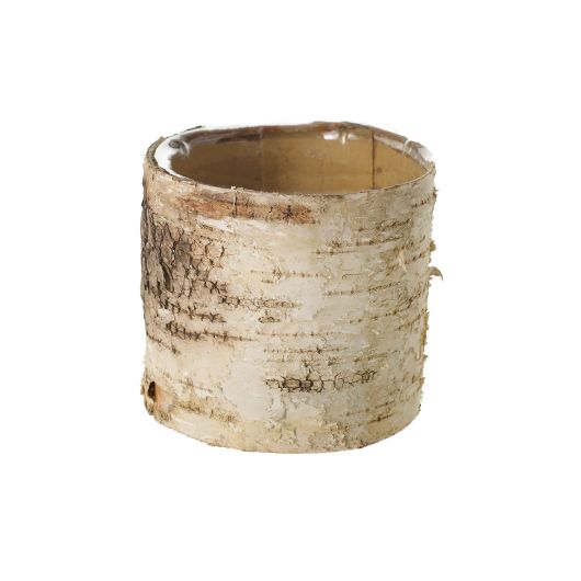 Birch Garden Cylinder