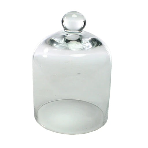 Clear Glass Dome