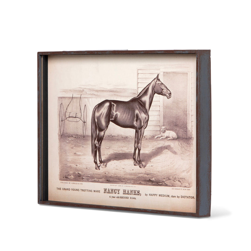 Race Horse Framed Prints