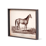 Race Horse Framed Prints
