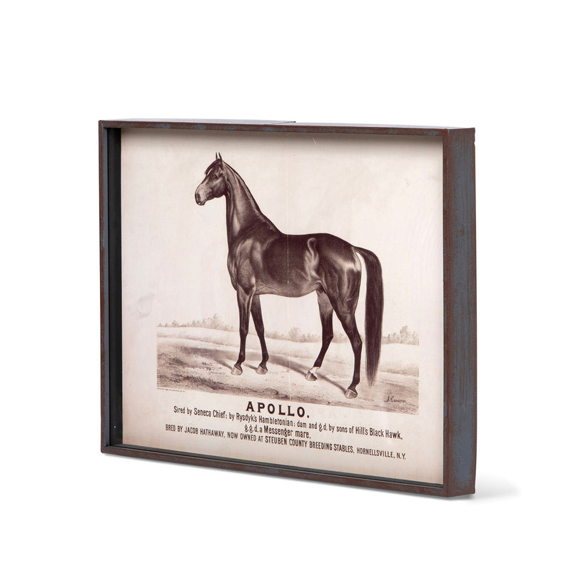 Race Horse Framed Prints