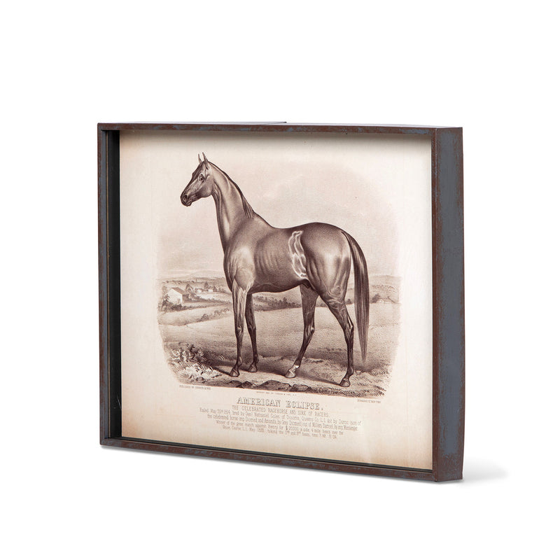 Race Horse Framed Prints