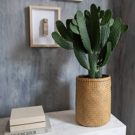Yanni Seagrass Planter