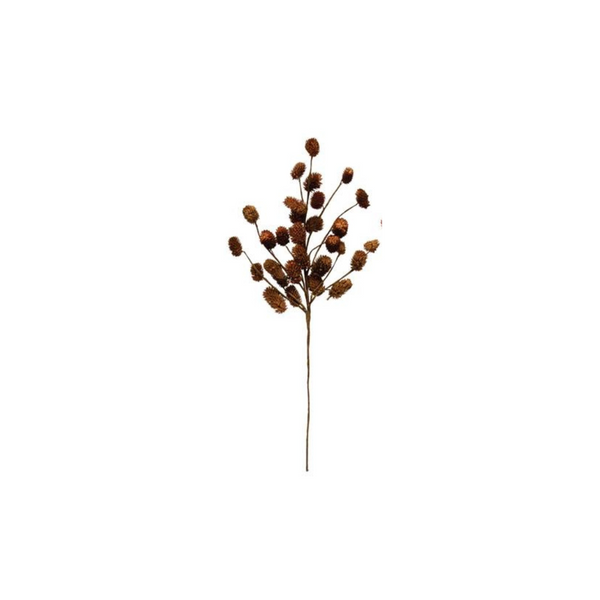 Dried Natural Thistle Pick