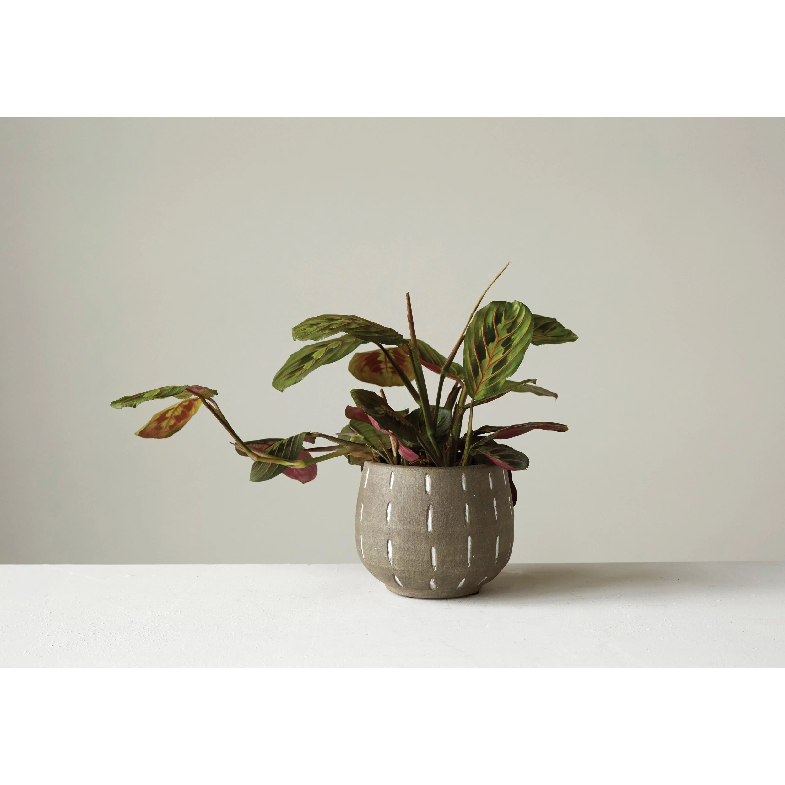 Rainy Pot