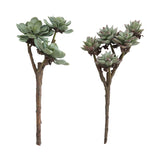 Faux Succulent Branch