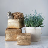 Gold Seagrass Baskets with Lid