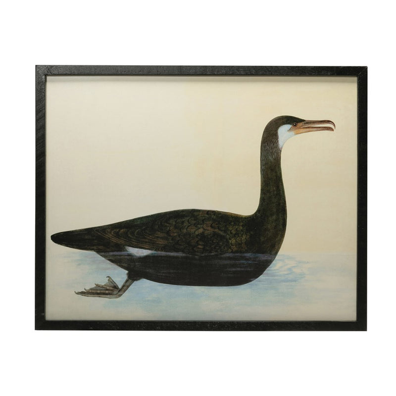 Framed Vintage Reproduction Bird Image