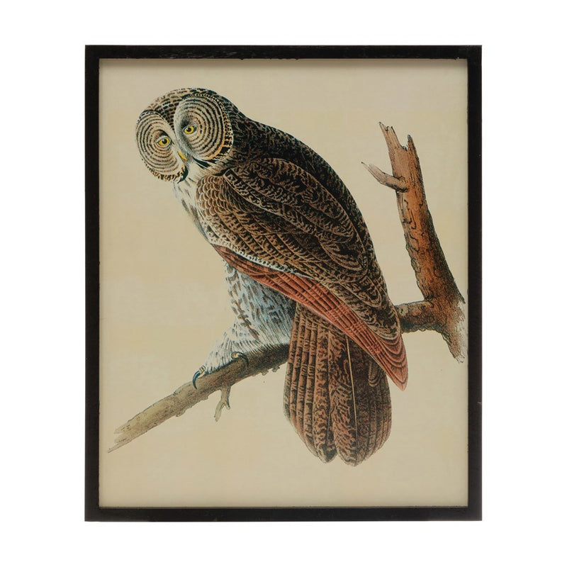 Vintage Reproduction Owl Art