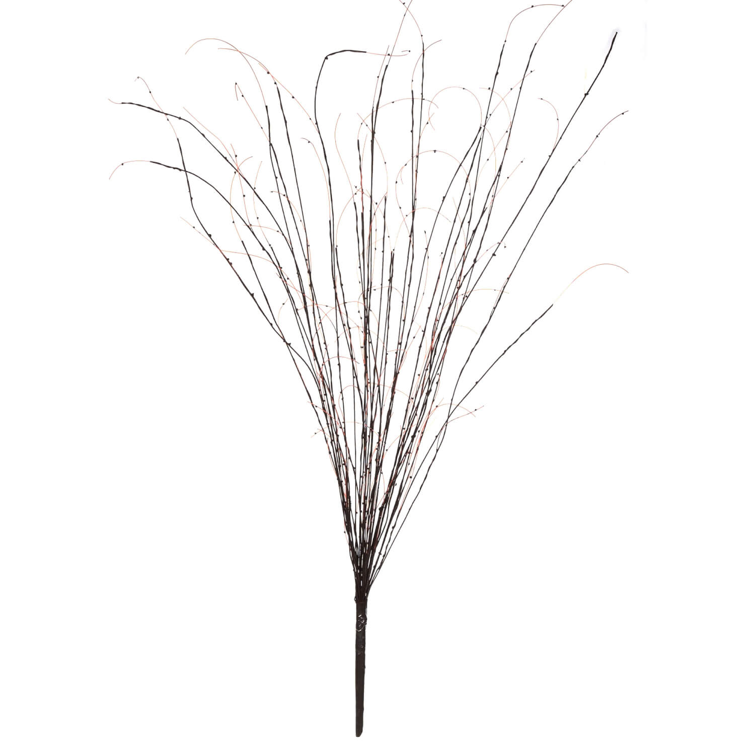 Twig Branches with Buds