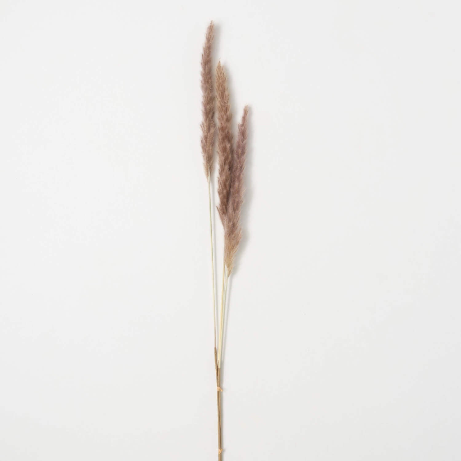 Faux Dried Brown Pampas Grass Spray