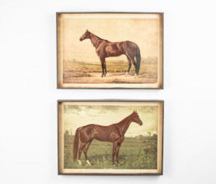 Horse Prints In Black Frame