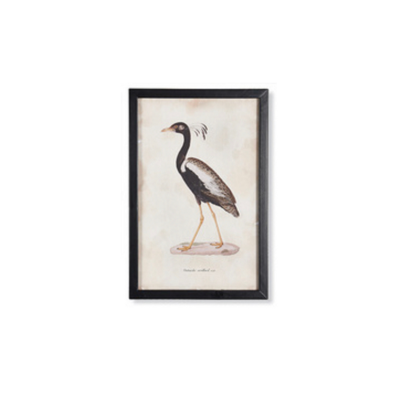 Waterfowl Art Collection