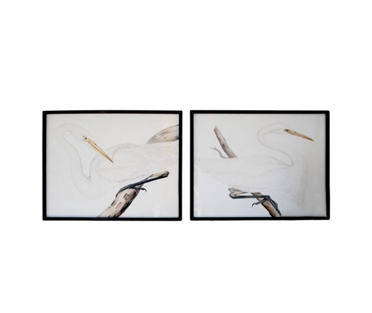 Magnificent Heron Prints