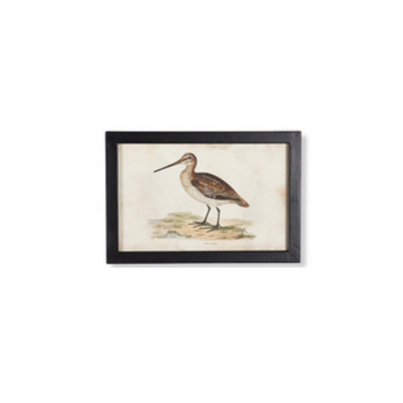 Waterfowl Art Collection