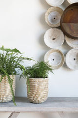 Basket Weave Growing Pot