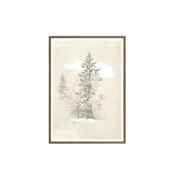 Tree Drawing Print - 1868