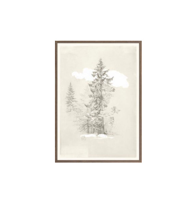 Tree Drawing Print - 1868