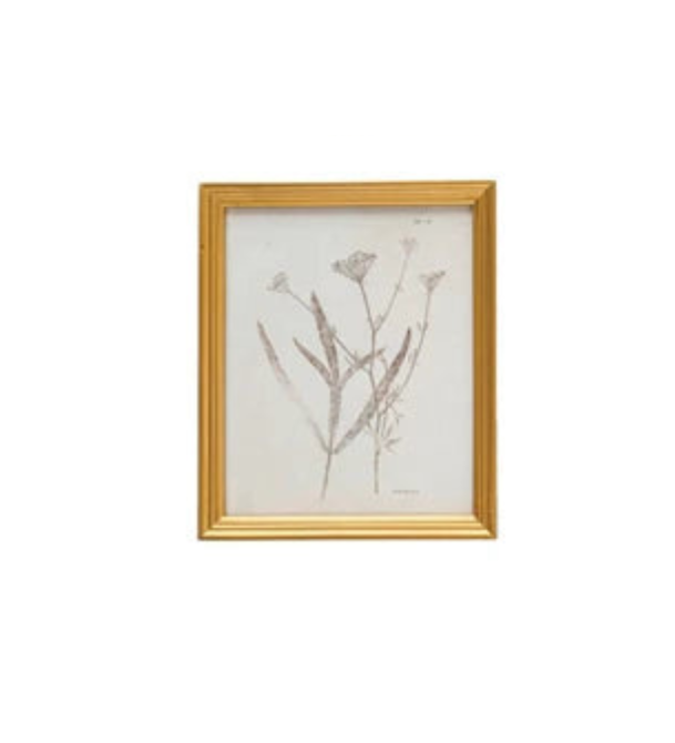 Illustrated Botanicals Wall Art