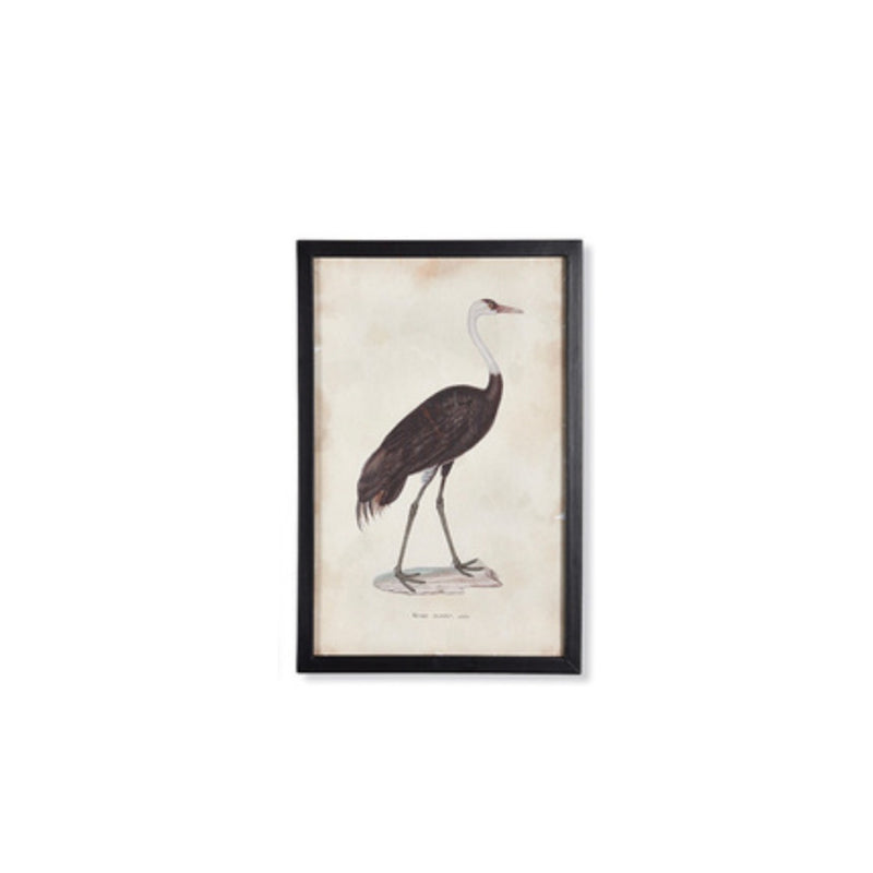 Waterfowl Art Collection