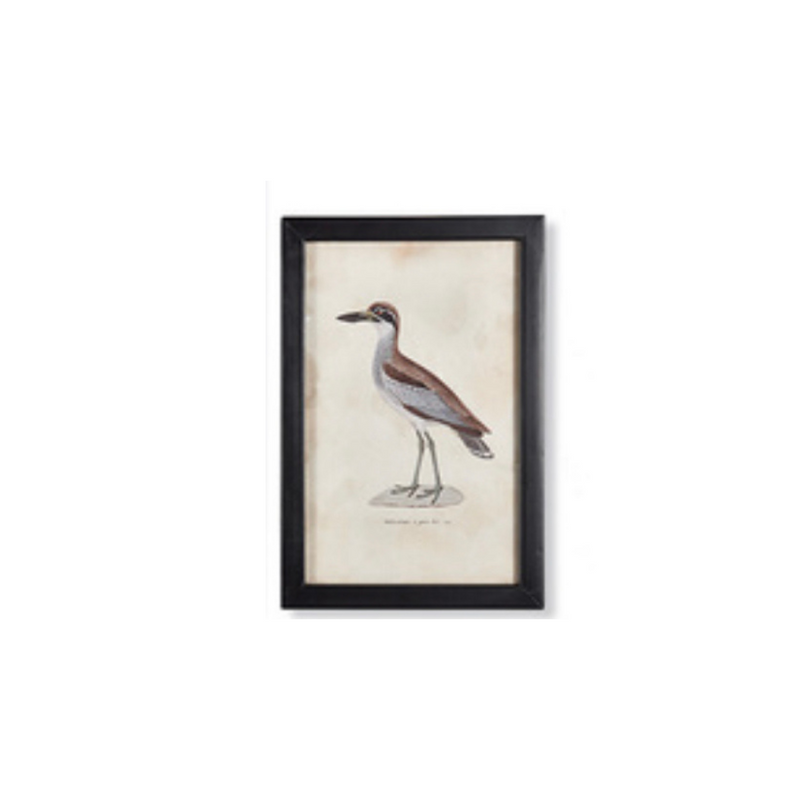 Waterfowl Art Collection
