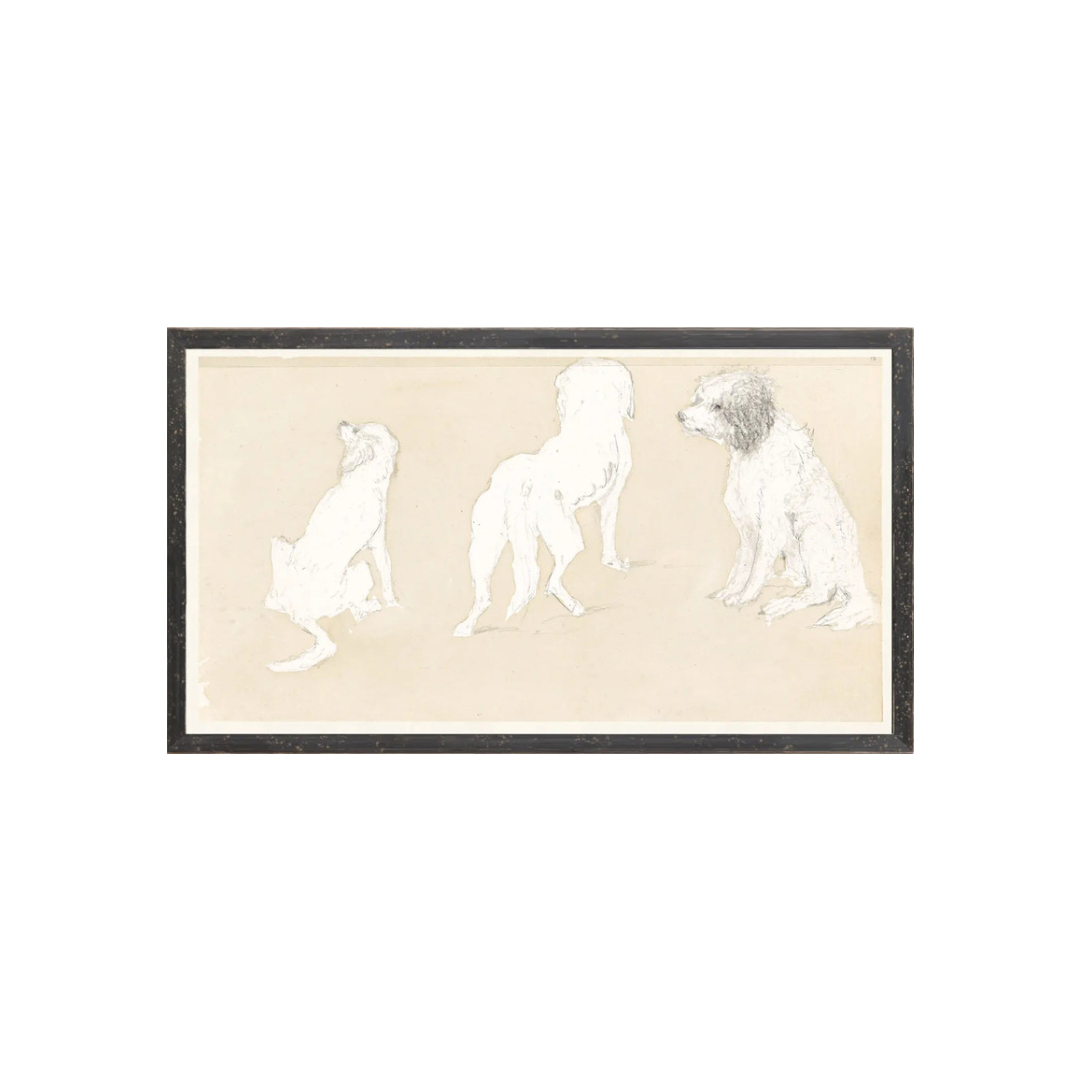 Dog Study