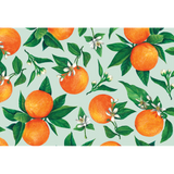 Oranges Blossom Paper Placemats
