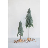 Snow Finish Pine Trees