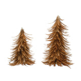 Brown Feather Tree